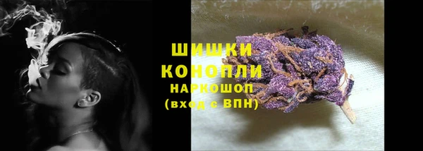 ешки Иннополис