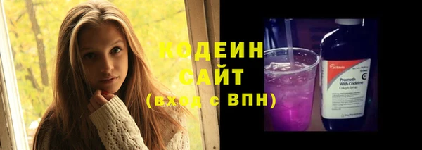 ешки Иннополис
