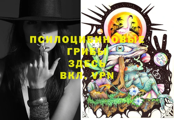 ешки Иннополис
