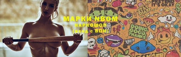 ешки Иннополис