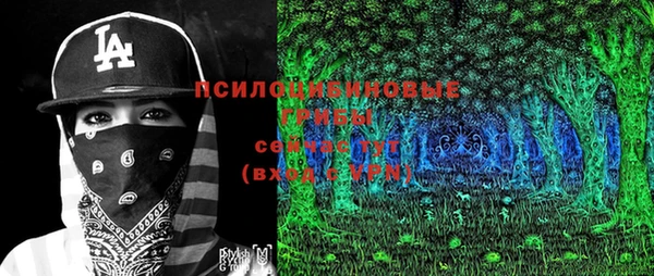 ешки Иннополис